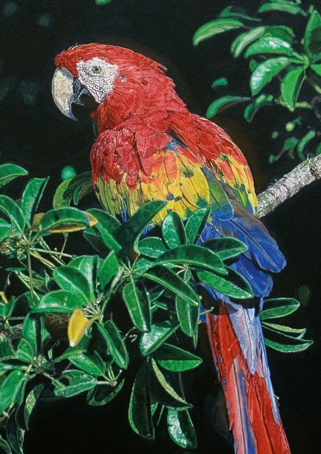 Lamsfuss Invitation 2012