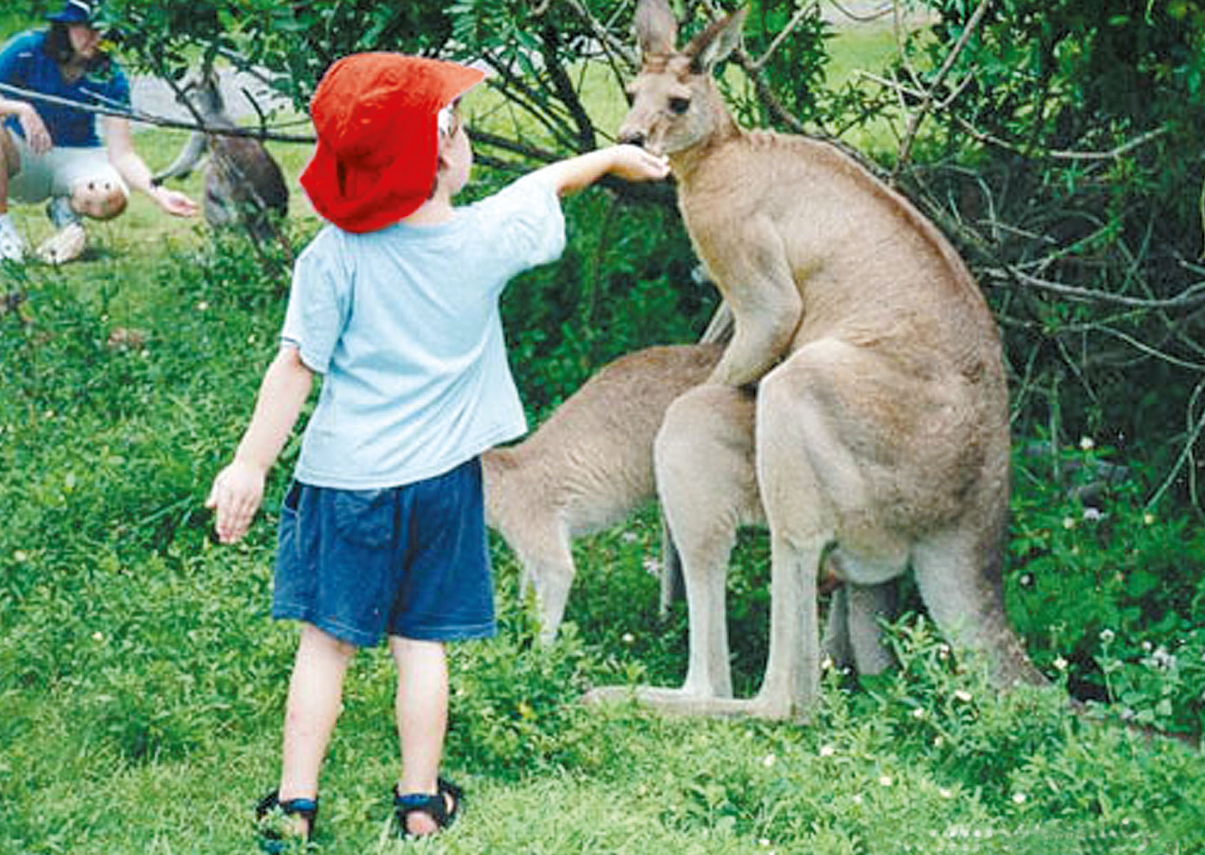 Georg Winter Watch The Birdie 2001