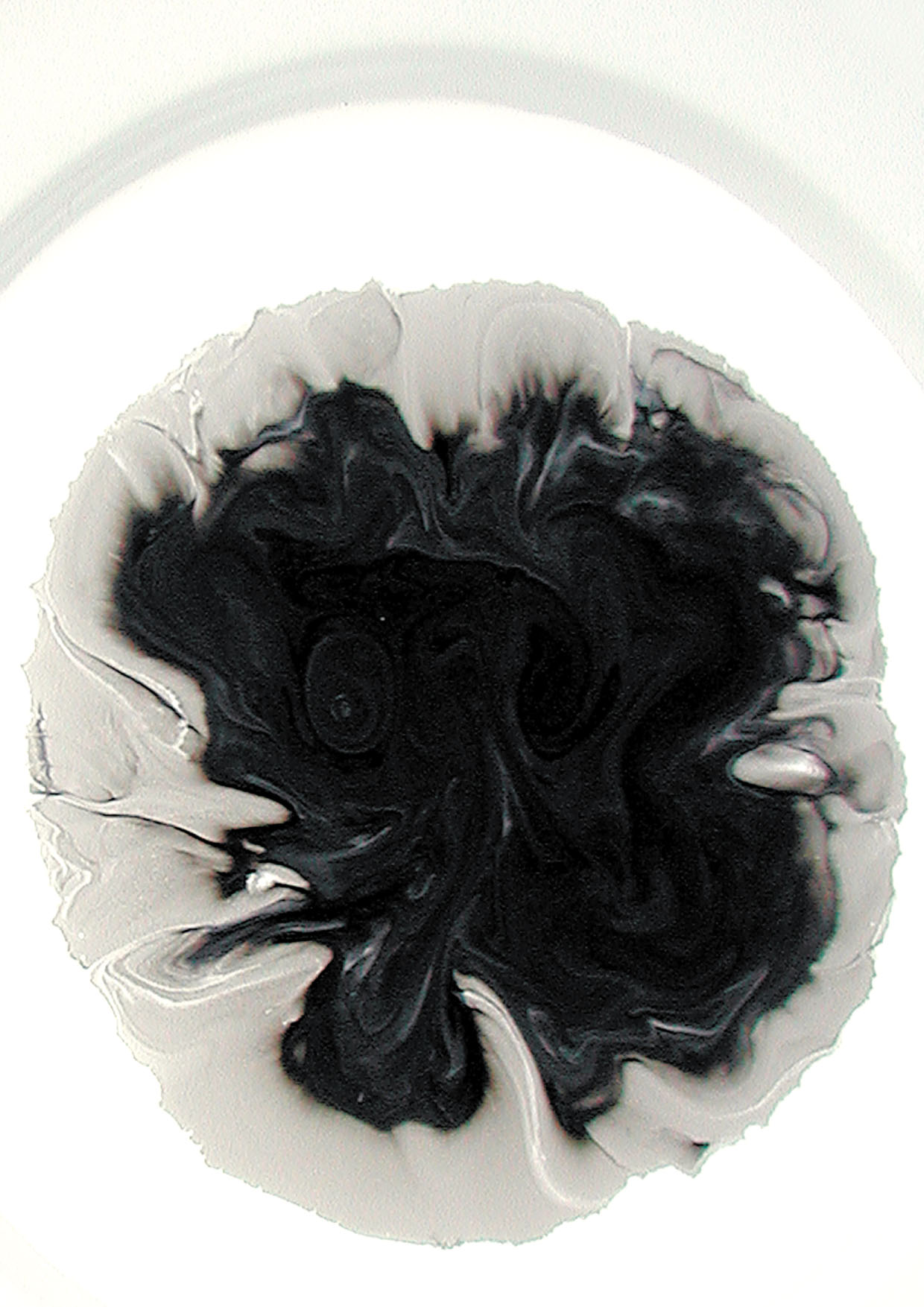 Vincent Tavenne 2002